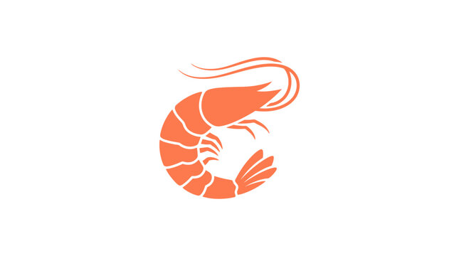 Minimalist vector illustration of a fresh orange shrimp isolated on white background.