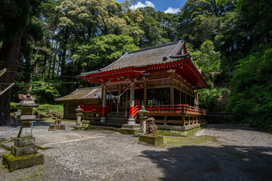 住吉神社の参道の風景（曽於市末吉町）