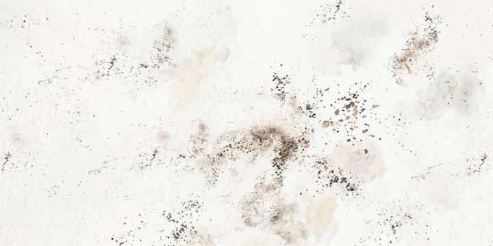 Abstract texture of black and grey mold spots on a white surface, resembling a natural abstract pattern, suggestive of decay or an environmental hazard. for ui, web, art, design, background, etc.