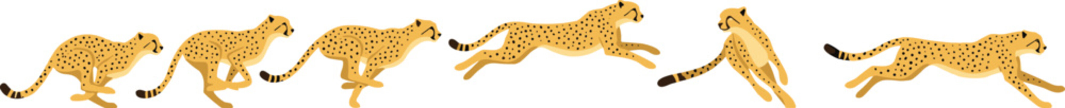Running Cheetah Sprite Sheet and Animation Sequence Set Showing Various Stages of Fast Sprint Cycle Vector Illustration