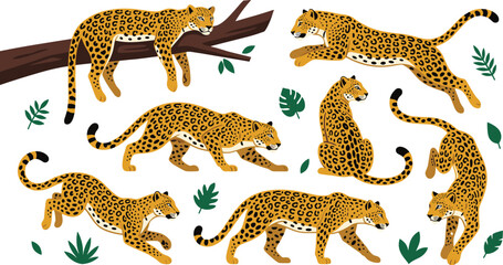 Leopard and Jaguar Vector Character Set in Various Poses Including Jumping, Walking, Climbing, and Stalking with Tropical Leaves © MinnatunAkter