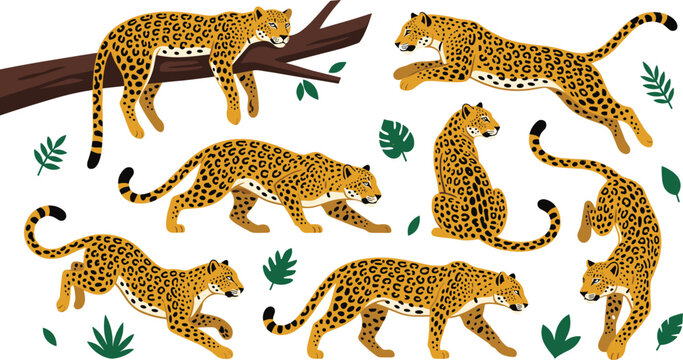 Leopard and Jaguar Vector Character Set in Various Poses Including Jumping, Walking, Climbing, and Stalking with Tropical Leaves