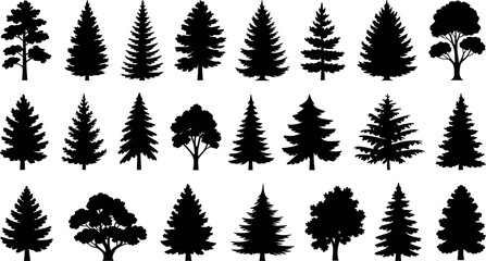 Fototapeta premium Evergreen pine and deciduous tree silhouettes vector illustration set for forest landscape design nature background and outdoor adventure graphic