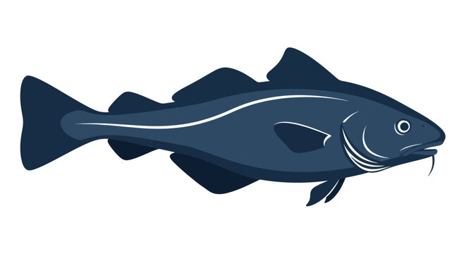 Atlantic Cod Fish Illustration - Seafood and Marine Life