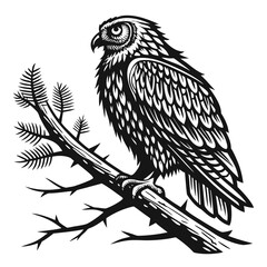 Fototapeta premium bird of prey