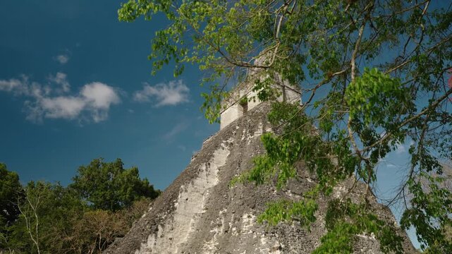 Ancient Temple I surrounded by lush tropical foliage in Tikal Guatemala
