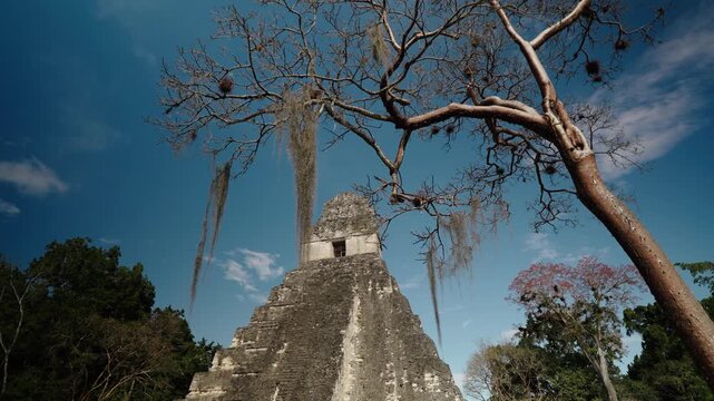 Ancient Temple I framed by tropical tree branches in Tikal Guatemala