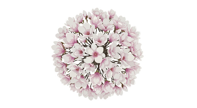 Pink magnolia flower bouquet in spherical arrangement, blooming spring floral ball vector, elegant cherry blossom globe for wedding invitation and decor