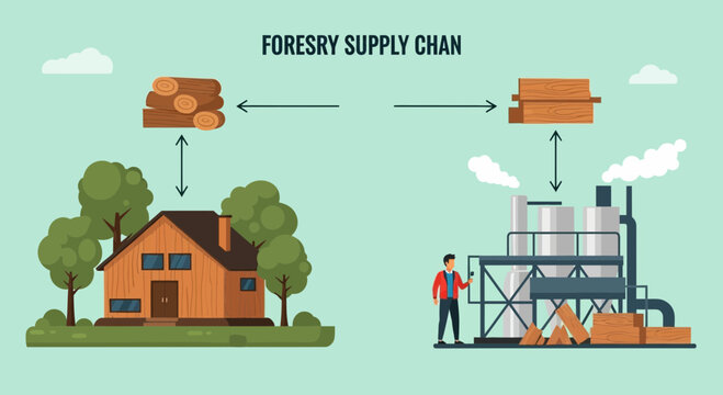 Forestry supply chain process diagram