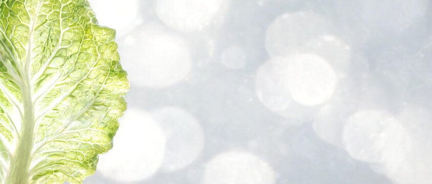 Close-up of textured green cabbage leaf against bright blurry background with bokeh effect and glowing lights.