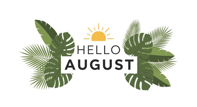 Hello August text with tropical leaves and sun graphic