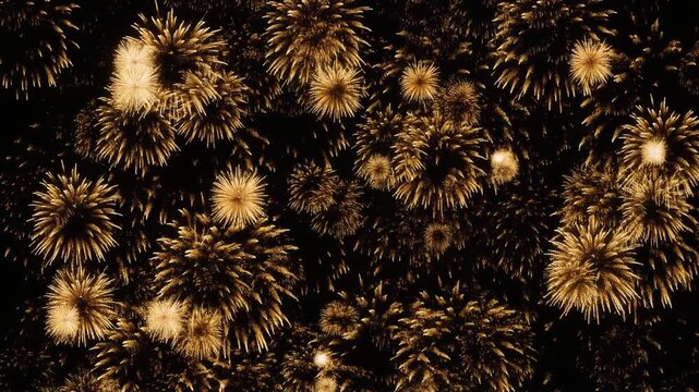 新年の花火が夜空に炸裂し光の雨が降るループ