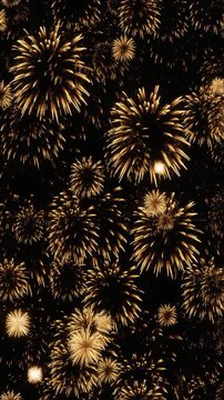 新年の花火が夜空に炸裂し光の雨が降るループ