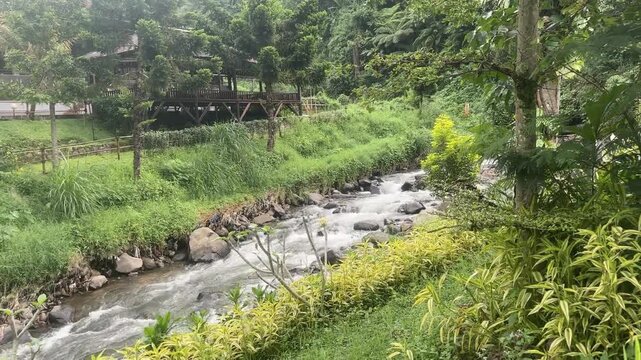 Riverside stream rushes over rocks. Lush greenery frames the flowing water. Rice terraces lie beside the rushing stream. Bamboo and palm trees rise above. Natural light filters through the canopy