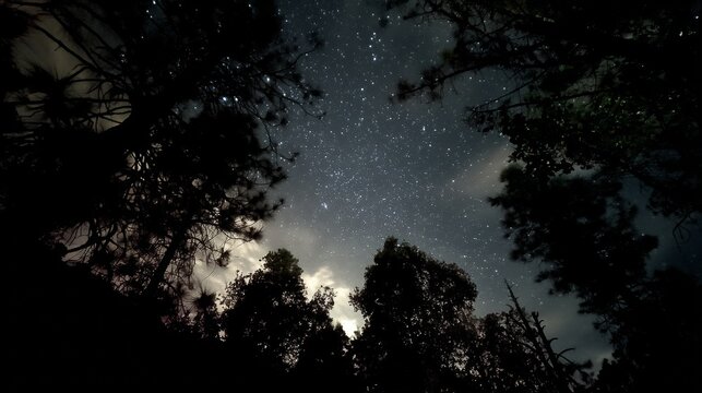 As night grew darker, stars shone brightly across the sky while cool air carried the scent of earth and pine, creating a quiet stillness that made the world feel calm and timeless.
