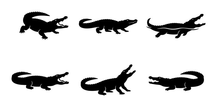 Alligator Silhouette Collection: Six Dynamic Poses, Black Vector Graphics for Wildlife and Reptile Themes