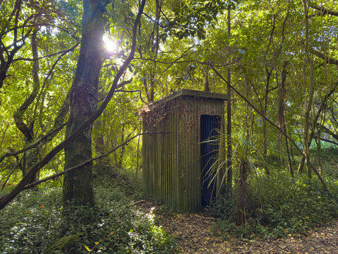 New Zealand long drop toilet or 'dunny' in rough condition in sunlit forest. Near Taupō on the W2K Whakaipo to Kinloch Great Lake Trail, walking and mountain biking track.