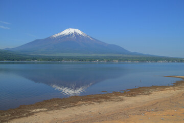 Fototapeta premium 逆さ富士 山中湖 青 空 背景