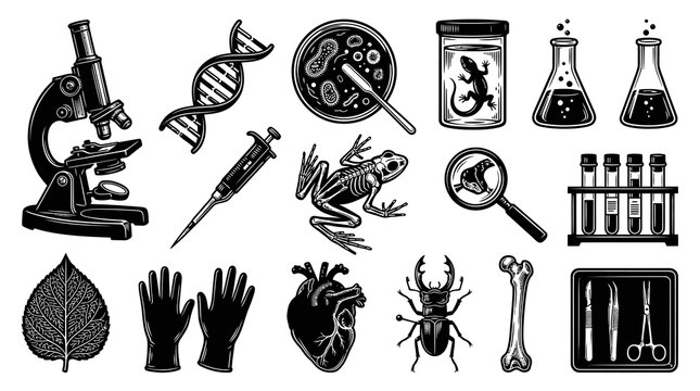 Scientific Research Icons: Microscope, DNA, Frog, Heart, Bug, Bone, Medical Tools