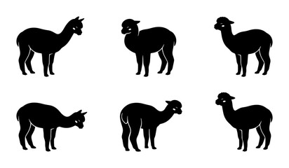 Six Black Alpaca Silhouettes, Vector Icons Set, Cute South American Camelid Poses, Farm Animal Graphics, Minimalist Livestock Illustrations © Hasan