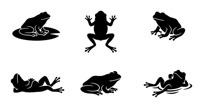 Six Black Frog Silhouettes, Amphibian Poses Collection, Pond Life Vector Icons, Nature Wildlife Graphics, Simple Animal Shapes