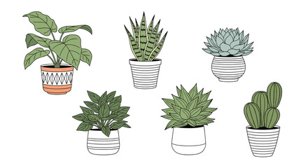 Fototapeta premium Collection of six different potted indoor plants includes various succulents and a snake plant displayed in diverse decorative pots.