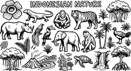Indonesian Nature and Wildlife: Hand-drawn Black and White Line Art of Endemic Animals, Plants, and Landscapes - Tiger, Rhino, Orangutan, Komodo, Rafflesia. © victoria
