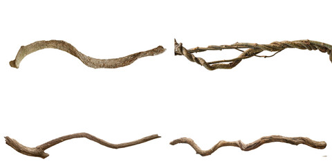 Rustic collection of gnarled and twisted wooden vines and branches, perfect for natural decor elements. © Luke