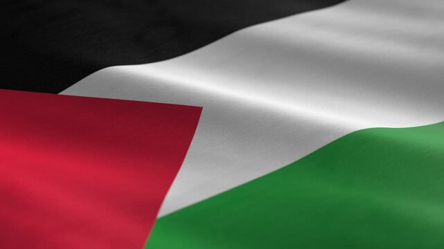 Palestine - waving flag loop	