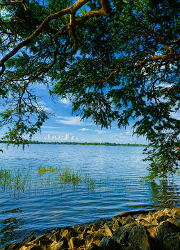 Peaceful natural landscape view of Tissa Wewa lake in Anuradhapura Sri Lanka surrounded by green tree branches calm blue water tropical environment scenic outdoor destination with beautiful sky...