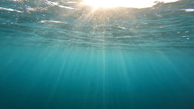 Sunlight refracting through the surface of the ocean seen from just below the water line