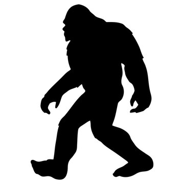 Bigfoot walking silhouette isolated on white, mysterious cryptozoology