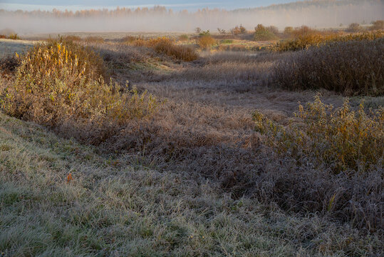 Frosty autumn morning. Pushkinogorye, Pskov region, Russia