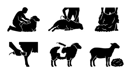 Sheep Shearing Process Icons, Livestock Farming Vector Set, Agricultural Animal Husbandry Graphics, Wool Production Steps © Rodela