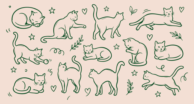 Playful cat pet pattern, cute feline behavior sketch, minimalist domestic cat vector, clean kitten life illustration, modern animal lover design, premium cat breed graphic, isolated pet collection
min