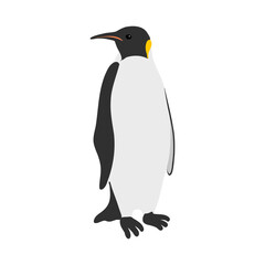 Obraz premium vector drawing emperor penguin, Aptenodytes forsteri isolated at white background, hand drawn illustration