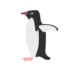 Fototapeta premium vector drawing Adelie penguin, Pygoscelis adeliae isolated at white background, hand drawn illustration
