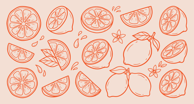 fresh citrus fruit pattern, summer orange slice, healthy organic food, nature vitamin harvest, colorful fruit background, minimal line art, vector background design
fresh, citrus, fruit, pattern, summ