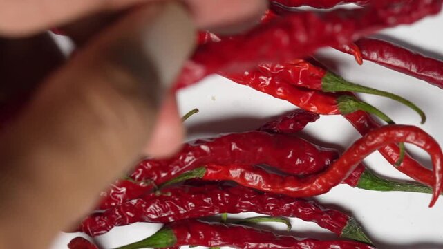 Close up of a hand picking a fresh red chili pepper from a pile on a bright background.