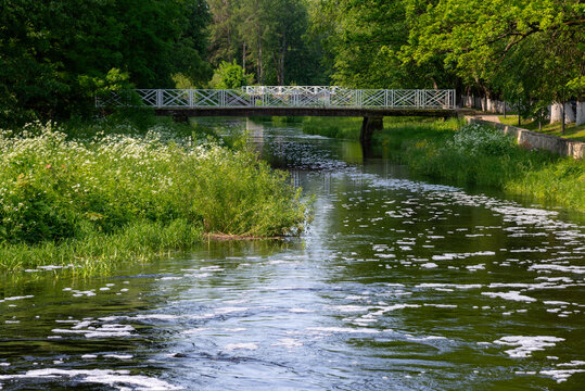 Summer day on the Gdovka River. Gdov, Pskov region, Russia