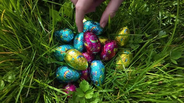 Une main cherche des &oelig;ufs de P&acirc;ques en poussant l'herbe. Une chasse aux &oelig;ufs de P&acirc;ques haute en couleur dans une prairie printani&egrave;re ensoleill&eacute;e, les enfants cherchent les chocolats dans l'herbe verte