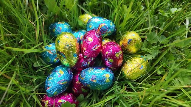 Une main cherche des &oelig;ufs de P&acirc;ques en poussant l'herbe. Une chasse aux &oelig;ufs de P&acirc;ques haute en couleur dans une prairie printani&egrave;re ensoleill&eacute;e, les enfants cherchent les chocolats dans l'herbe verte