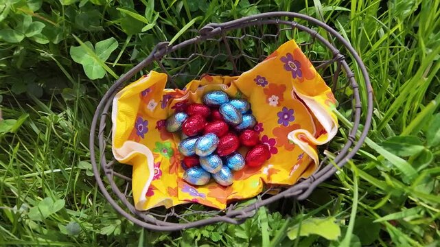 Une main d&eacute;pose les &oelig;ufs de P&acirc;ques dans un panier. Une chasse aux &oelig;ufs dans une prairie printani&egrave;re ensoleill&eacute;e, les enfants cherchent les chocolats dans l'herbe verte pour c&eacute;l&eacute;brer cette f&ecirc;te. 