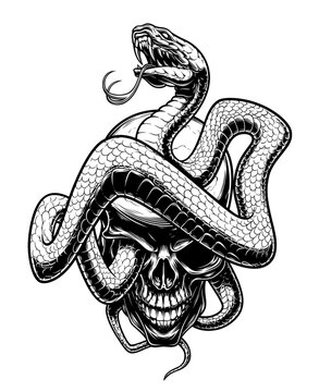 Viper snake and human skull high detailed black and white vector illustration.