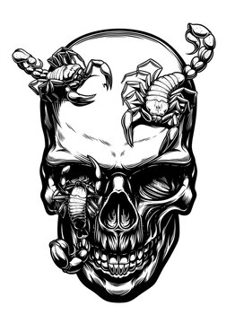 Human skull with scorpions vector illustration. Detailed monochrome dead head bones crawling with venomous desert arachnids.