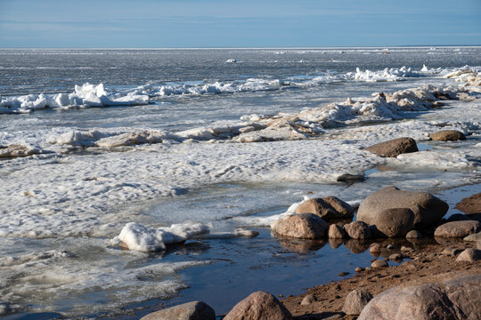 March day on the Gulf of Finland. Leningrad Region, Russia