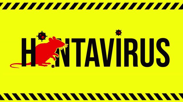 Hantavirus warning animation featuring bold black &ldquo;Hantavirus&rdquo; text on a yellow caution background surrounded by virus icons and rat silhouette. 