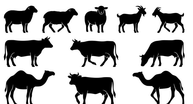 Black silhouettes of various farm and desert animals