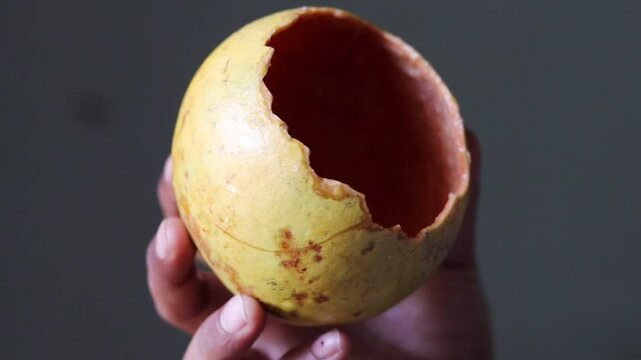Close up of hand rotating an empty wood apple shell, showcasing a natural eco-friendly cup, sustainable zero waste lifestyle and organic packaging concept
