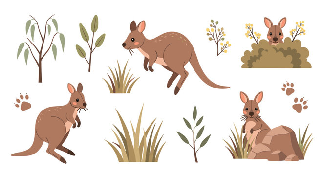Set of cute cartoon wallabies and Australian flora elements, baby animals peeking from bushes, playful and natural theme